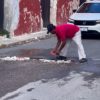 BACHE