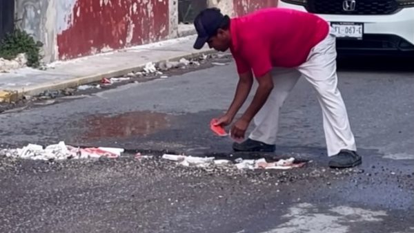 BACHE