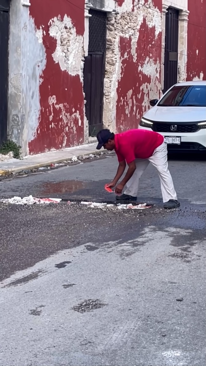 BACHE