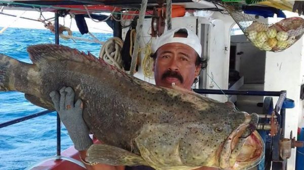 pescador