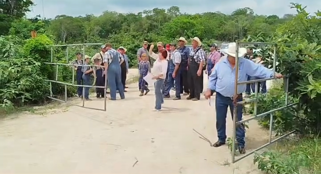 MENONITAS