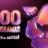 Martes del Jaguar