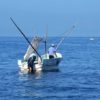 Pesca