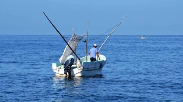 Pesca