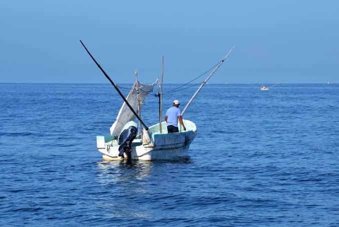 Pesca