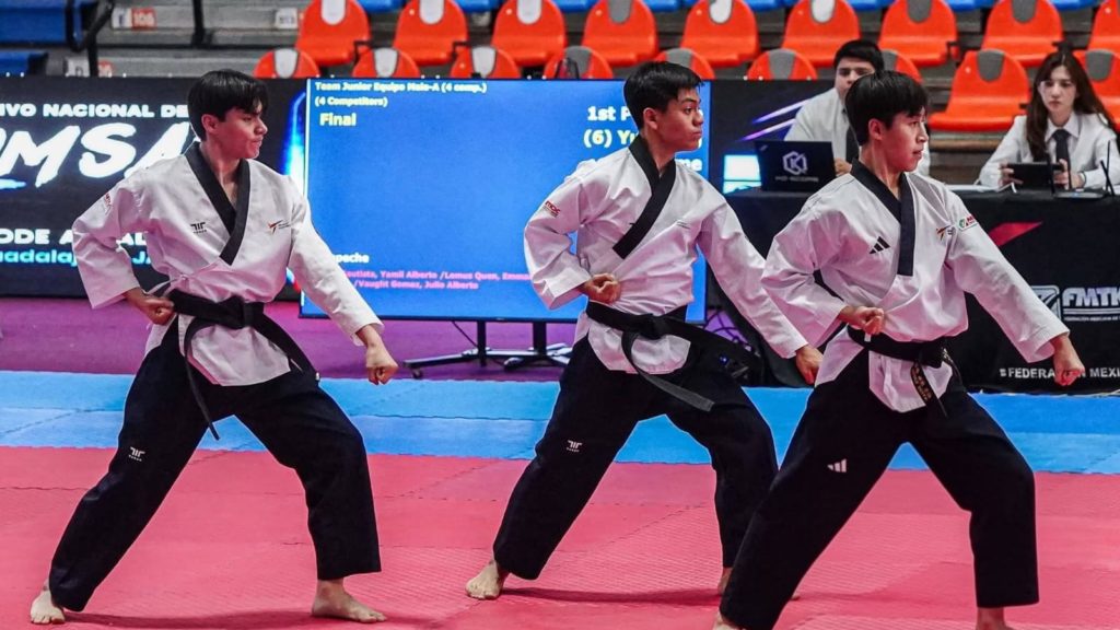 Taekwondo