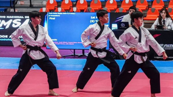 Taekwondo