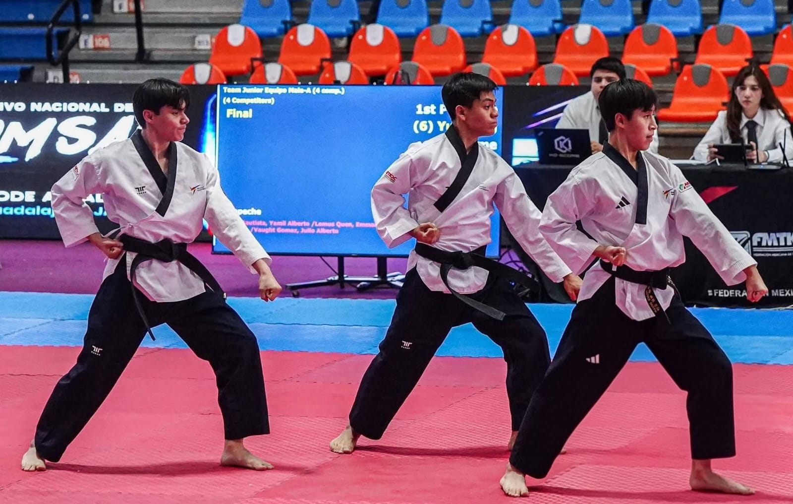 Taekwondo