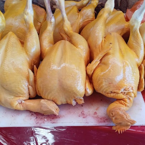 GALLINA